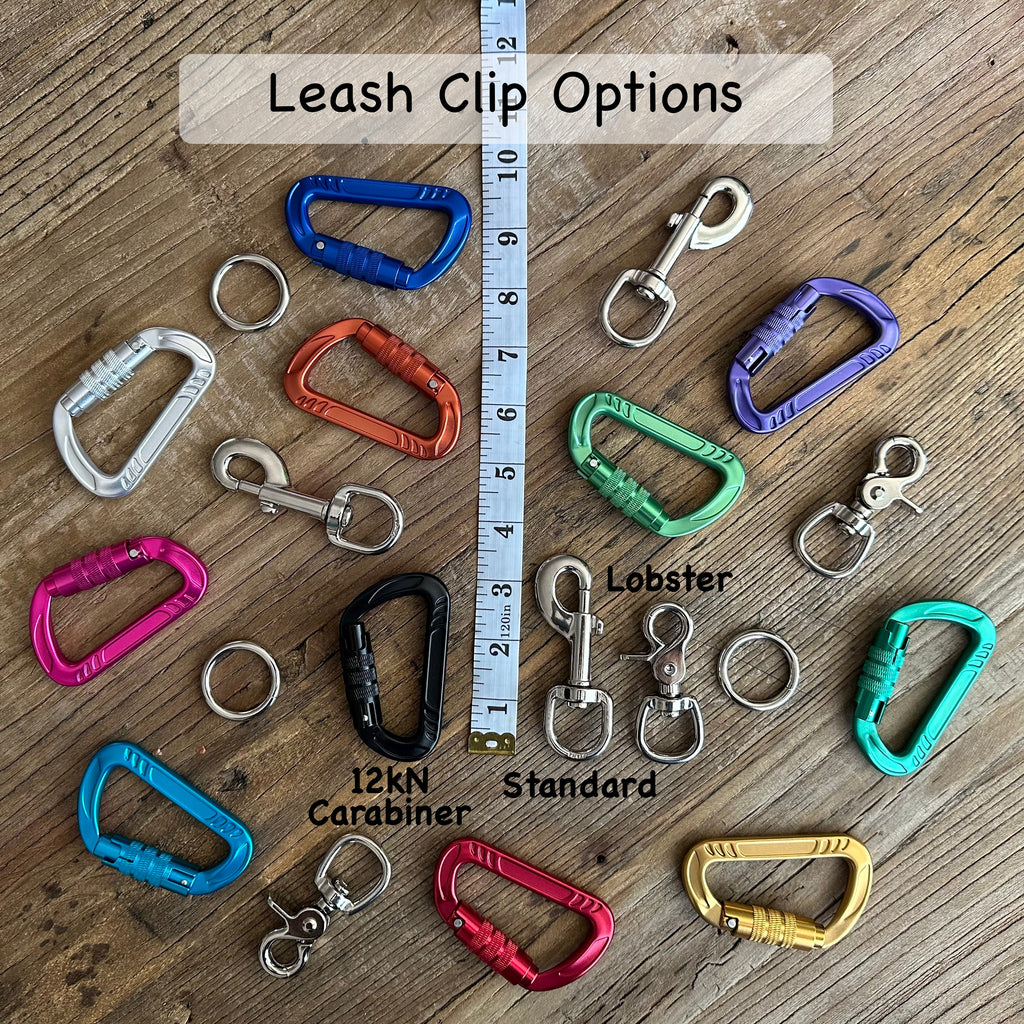 Teal Patterns Climbing Rope Leashes