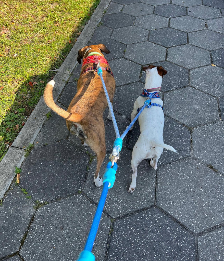 Upcycled Adventure Giving Climbing Ropes A New Adventure upcycled-adventure-giving-climbing-ropes-a-new-adventure