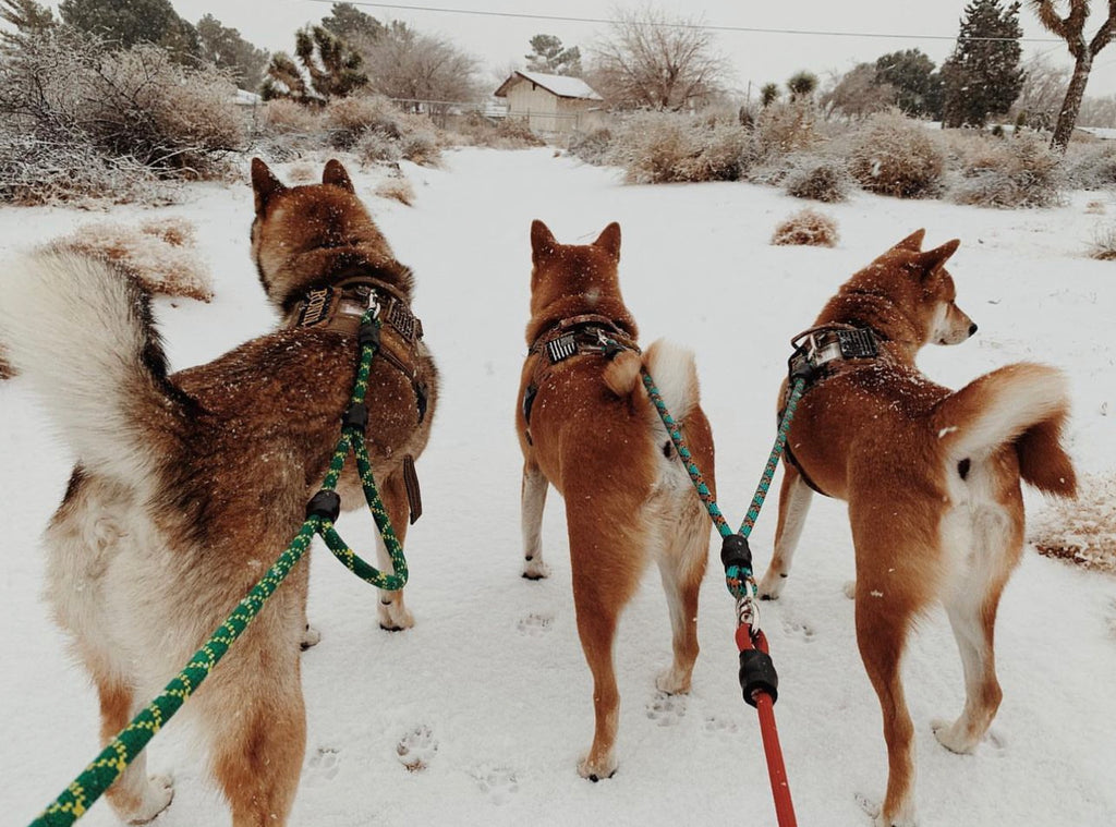 Upcycled Adventure Giving Climbing Ropes A New Adventure upcycled-adventure-giving-climbing-ropes-a-new-adventure