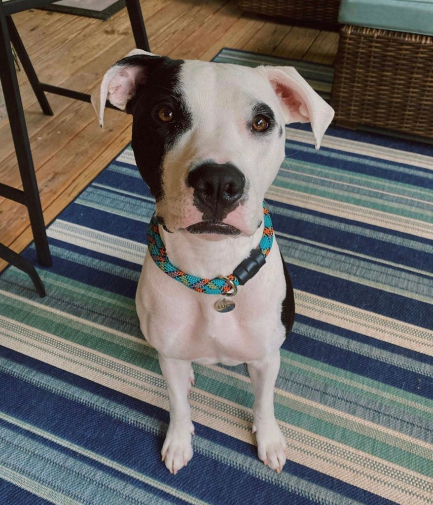 Blue Patterns Climbing Rope Collars